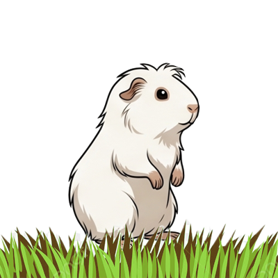 Cobaya blanco